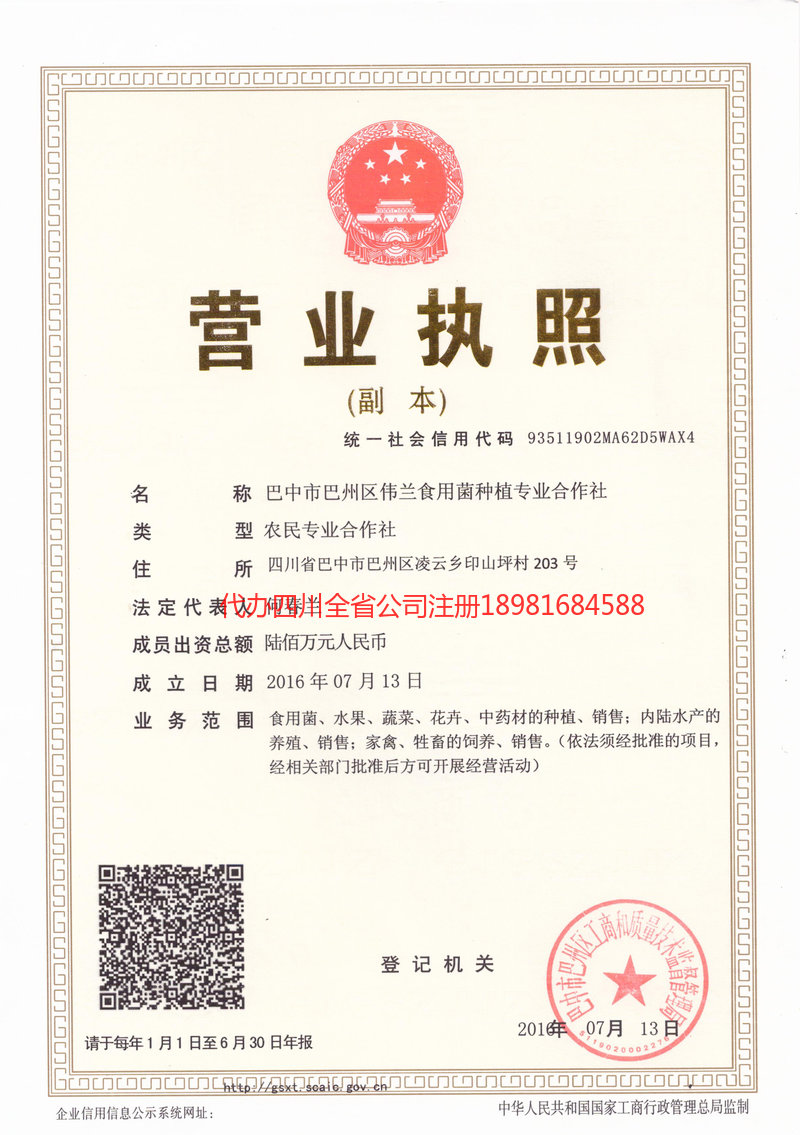 腾冲腾冲伟兰食用菌种植专业合作社